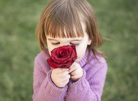 Astuces biologiques pour éliminer les mauvaises odeurs de vos canalisations